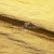 Текстильный материал "Диско"#1805 с покрытием РЕТ, 40гр/м2, 100% полиэстер, цв.5-золото - купить в Норильске. Цена 412.36 руб.