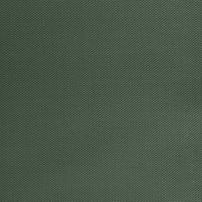 Оксфорд (Oxford) 240D 19-5917, PU/WR, 115 гр/м2, шир.150см, цвет т.зелёный - купить в Норильске. Цена 152.54 руб.