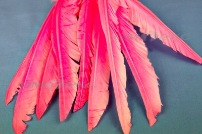 Декоративный Пучок из перьев, перо 25см/розовый - купить в Норильске. Цена: 14.40 руб.