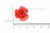 Украшение "Розы малые №1" 20мм - купить в Норильске. Цена: 32.49 руб.