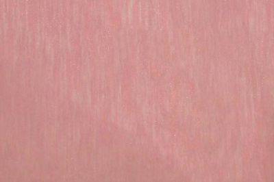Органза однотонная "Амелия" С19 (Розовый) 280 см - купить в Норильске. Цена 303.09 руб.