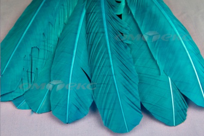 Декоративный Пучок из перьев, перо 24см/голубой - купить в Норильске. Цена: 12.19 руб.