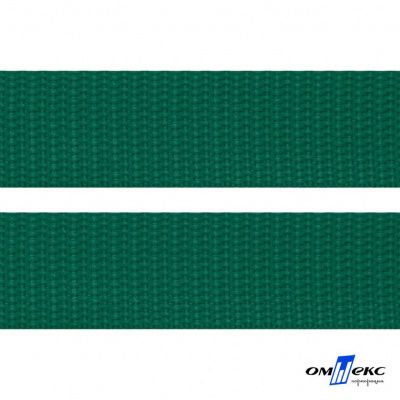 Зелёный- цв.876 -Текстильная лента-стропа 550 гр/м2 ,100% пэ шир.20 мм (боб.50+/-1 м) - купить в Норильске. Цена: 318.85 руб.