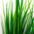 Трава искусственная -2, шт (осока 41см/8 см)				 - купить в Норильске. Цена: 104.57 руб.