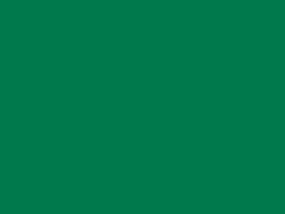 85 см № 258 яр. зеленый спираль (G) сорт-2 - купить в Норильске. Цена: 16.97 руб.