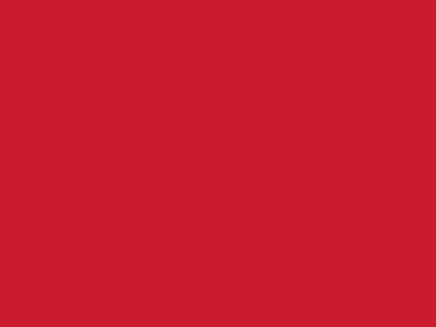 Сетка подкладочная красный, 60г/м2 (10 м/кг) - купить в Норильске. Цена 885.73 руб.