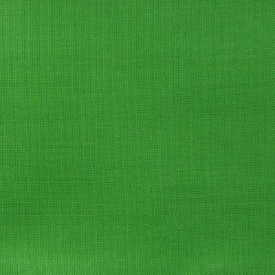 Ткань подкладочная Таффета 17-6153, 48 гр/м2, шир.150см, цвет трава - купить в Норильске. Цена 54.64 руб.