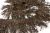 008-коричневый, Бахрома арт.001 шир.10см (упак.12+/-0,5м) - купить в Норильске. Цена: 1 017.33 руб.