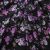 Плательная ткань "Фламенко" 20.1, 80 гр/м2, шир.150 см, принт растительный - купить в Норильске. Цена 243.96 руб.