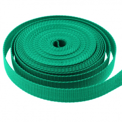 Стропа текстильная, шир. 25 мм (в нам. 50+/-1 ярд), цвет яр.зелёный - купить в Норильске. Цена: 397.52 руб.