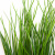 Трава искусственная -4, шт  (осока 50 см/8 см  7 листов)				 - купить в Норильске. Цена: 132.07 руб.