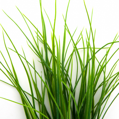 Трава искусственная -3, шт (осока 50 см/8 см  5 листов)				 - купить в Норильске. Цена: 124.17 руб.