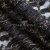Кружевное полотно XD LACE 1-4, 80 гр/м2, шир.150см, цвет чёрный - купить в Норильске. Цена 245.94 руб.